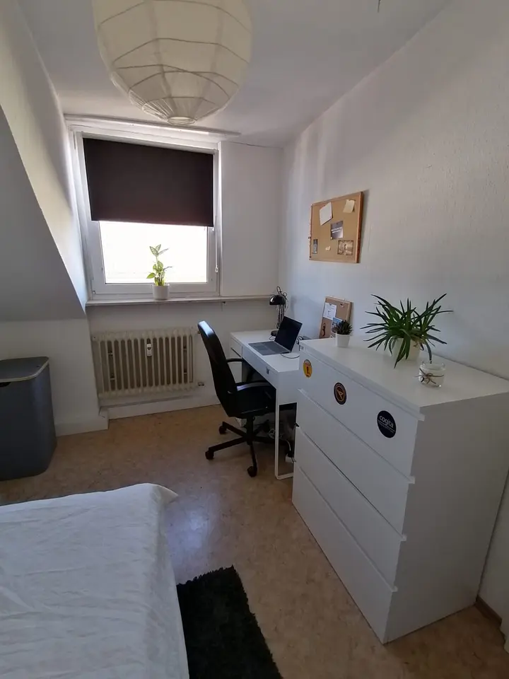 WG-Zimmer mit 80 m² in Bamberg – Bild 2