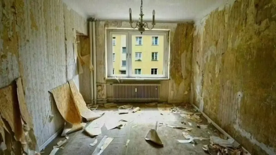 WG-Zimmer mit 68 m² in Fürth – Bild 7