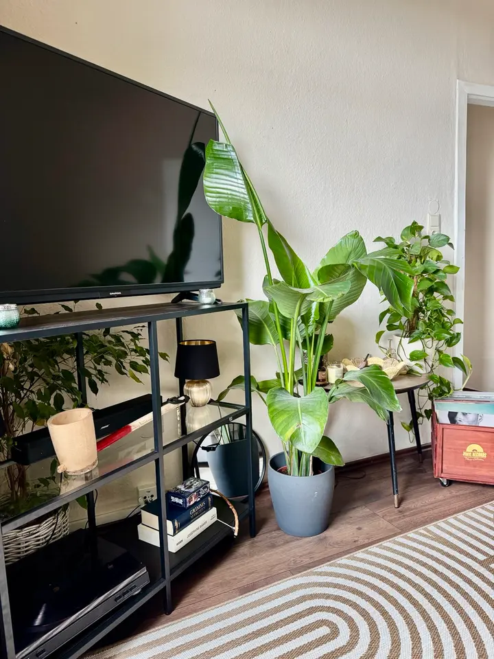 WG-Zimmer mit 40 m² in Brühl – Bild 7