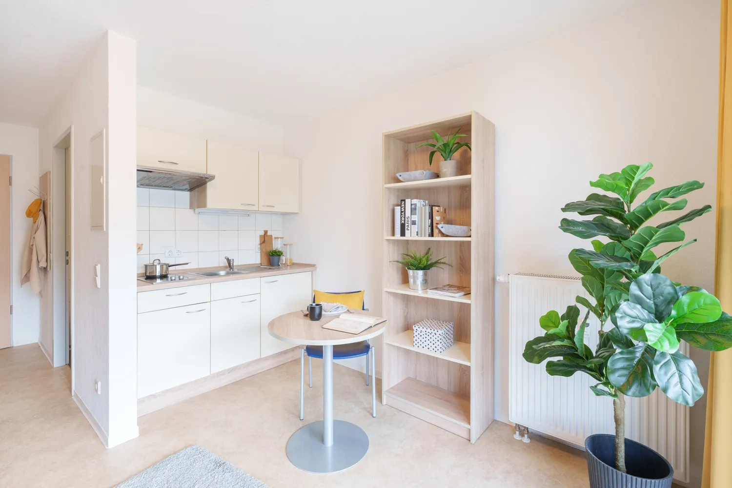 1 Zimmer Wohnung mit 24 m² in Dresden – Bild 3