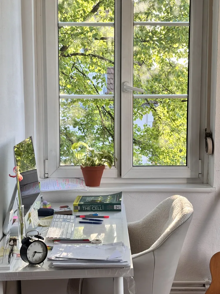 1 Zimmer Wohnung mit 10 m² in Freiburg im Breisgau – Bild 2