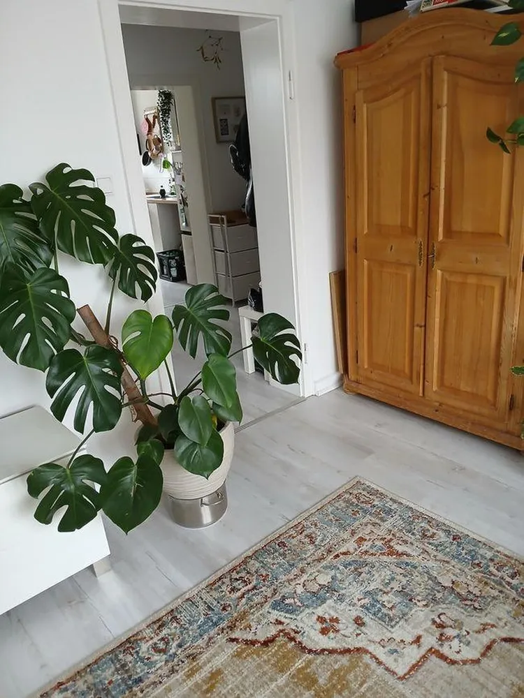 2 Zimmer Wohnung mit 50 m² in Solingen – Bild 2