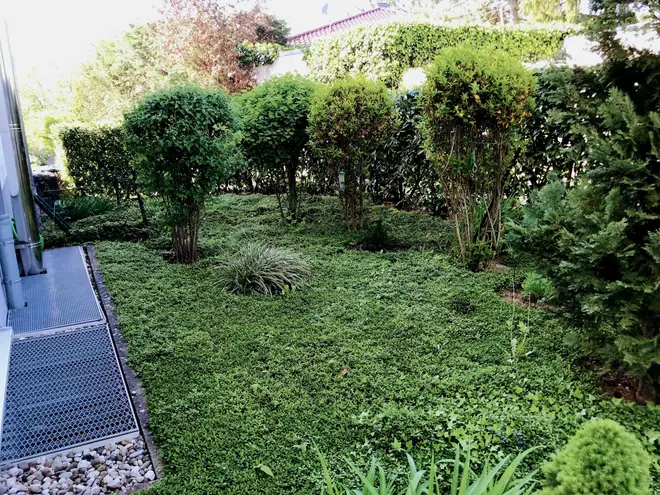 3 Zimmer Wohnung mit 103 m² in Mainz – Bild 11