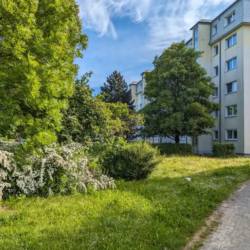 3 Zimmer Wohnung mit 69 m² in Freiberg – Bild 4