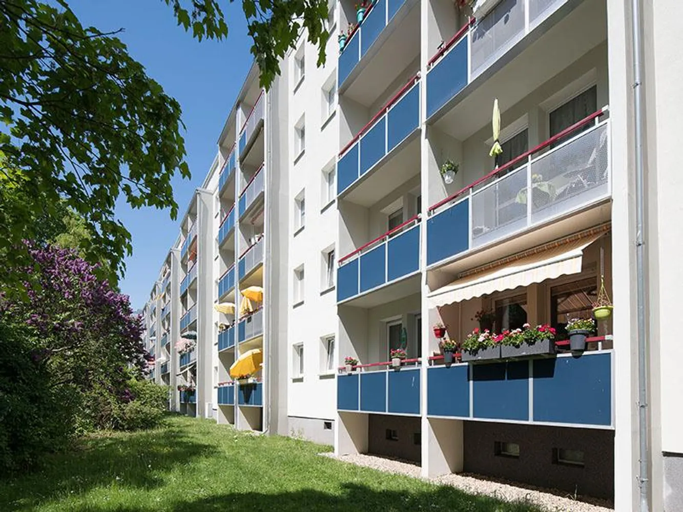 3 Zimmer Wohnung mit 61 m² in Halle (Saale) – Bild 2