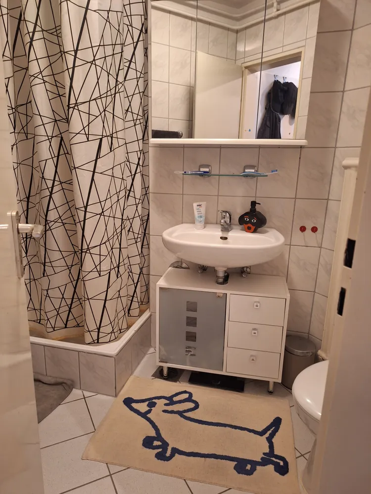 2 Zimmer Wohnung mit 44 m² in Mainz – Bild 5