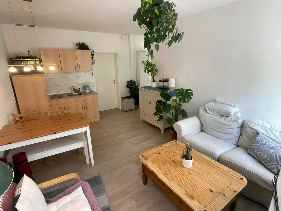 2 Zimmer Wohnung mit 37 m² in Greifswald – Bild 3