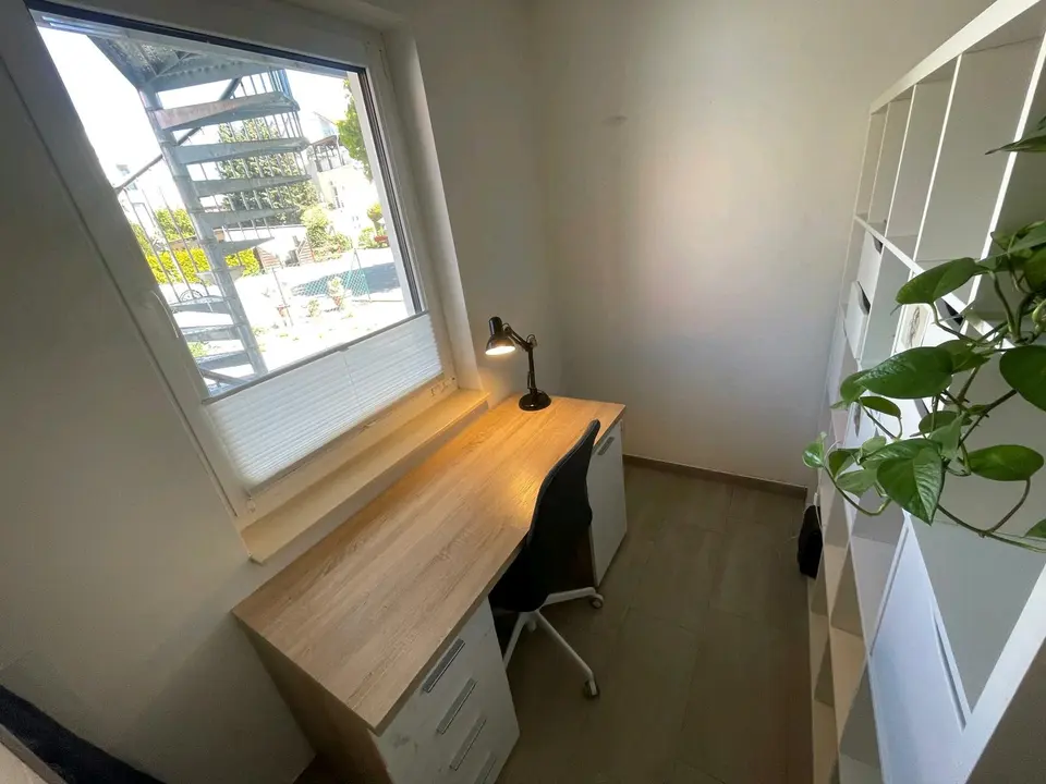 2 Zimmer Wohnung mit 37 m² in Greifswald – Bild 7