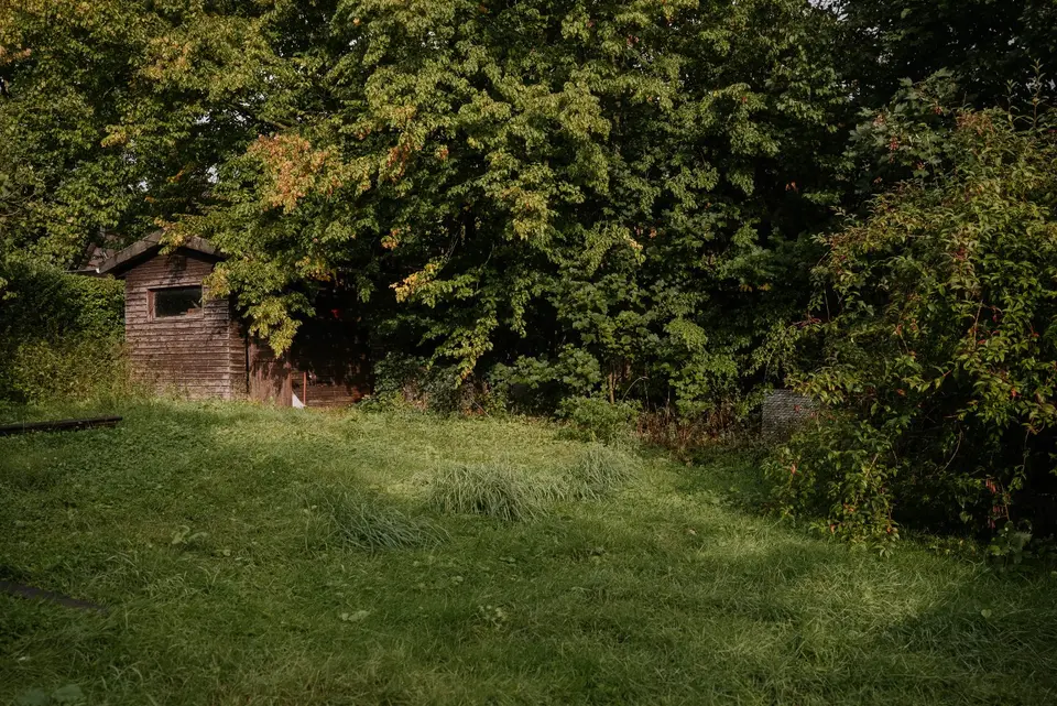 WG-Zimmer mit 170 m² in Lüneburg – Bild 5