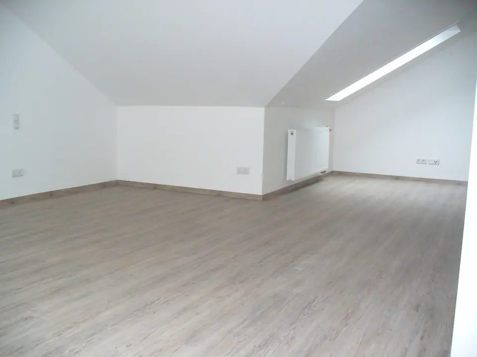3 Zimmer Wohnung mit 178 m² in Limbach-Oberfrohna – Bild 1