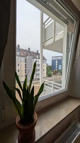 WG-Zimmer mit 12 m² in Düsseldorf – Bild 9