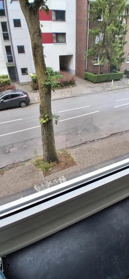 2 Zimmer Wohnung mit 52 m² in Herne – Bild 3