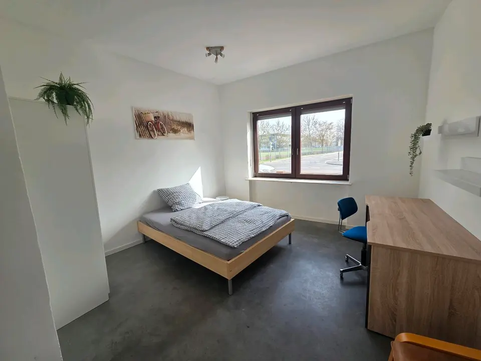 WG-Zimmer mit 200 m² in Kaiserslautern – Bild 3