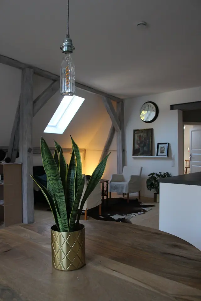 WG-Zimmer mit 75 m² in Bamberg – Bild 6