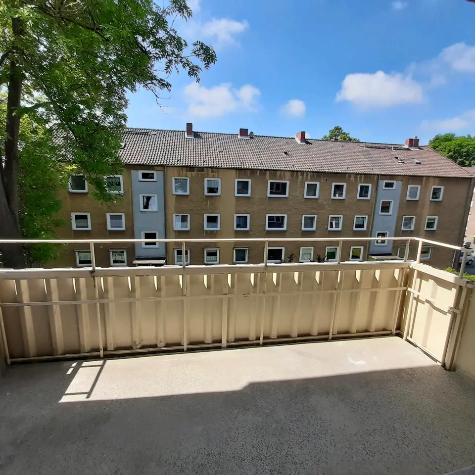 3 Zimmer Wohnung mit 70 m² in Braunschweig – Bild 3