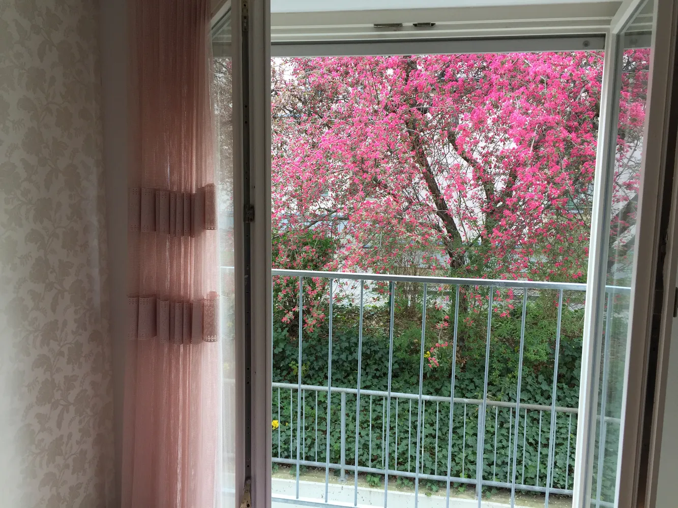 3 Zimmer Wohnung mit 79 m² in Dresden – Bild 11