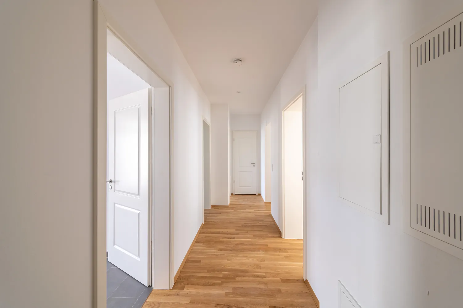 3 Zimmer Wohnung mit 79 m² in Chemnitz – Bild 1