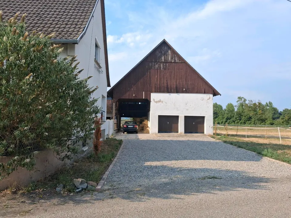 5 Zimmer Haus mit 130 m² in Freiburg im Breisgau – Bild 3