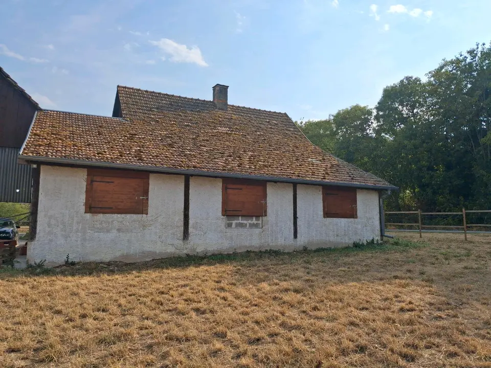 5 Zimmer Haus mit 130 m² in Freiburg im Breisgau – Bild 4