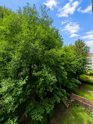 2 Zimmer Wohnung mit 65 m² in Chemnitz – Bild 10