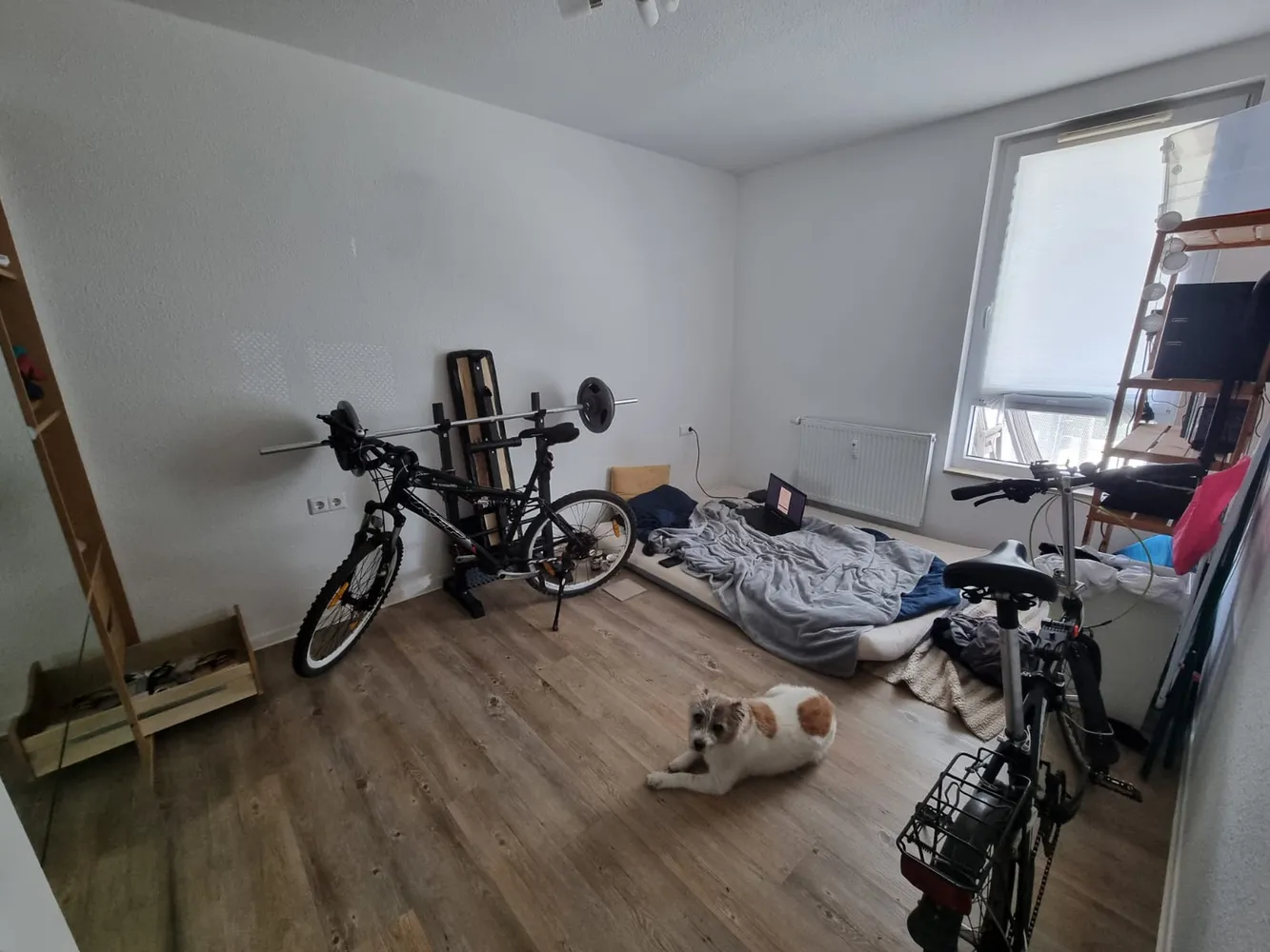 2 Zimmer Wohnung mit 42 m² in Potsdam – Bild 3