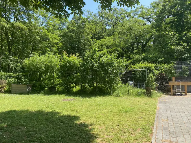 3 Zimmer Haus mit 120 m² in Offenbach am Main – Bild 5