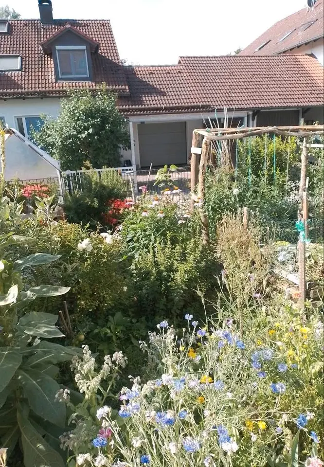 WG-Zimmer mit 15 m² in Landshut – Bild 6