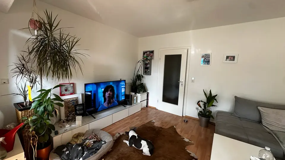 3 Zimmer Wohnung mit 62 m² in Braunschweig – Bild 2