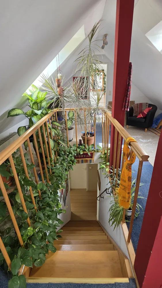 5 Zimmer Wohnung mit 96 m² in Essen – Bild 9