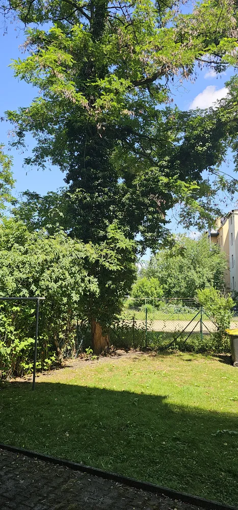 3 Zimmer Wohnung mit 78 m² in Görlitz – Bild 2