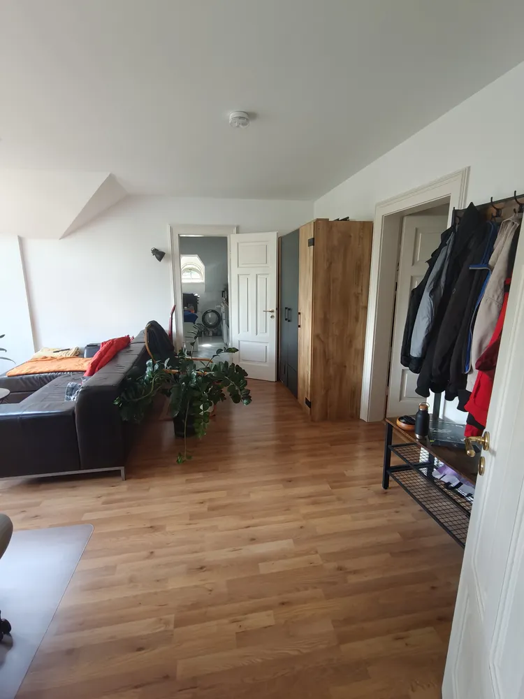 3 Zimmer Wohnung mit 45 m² in Dresden – Bild 3