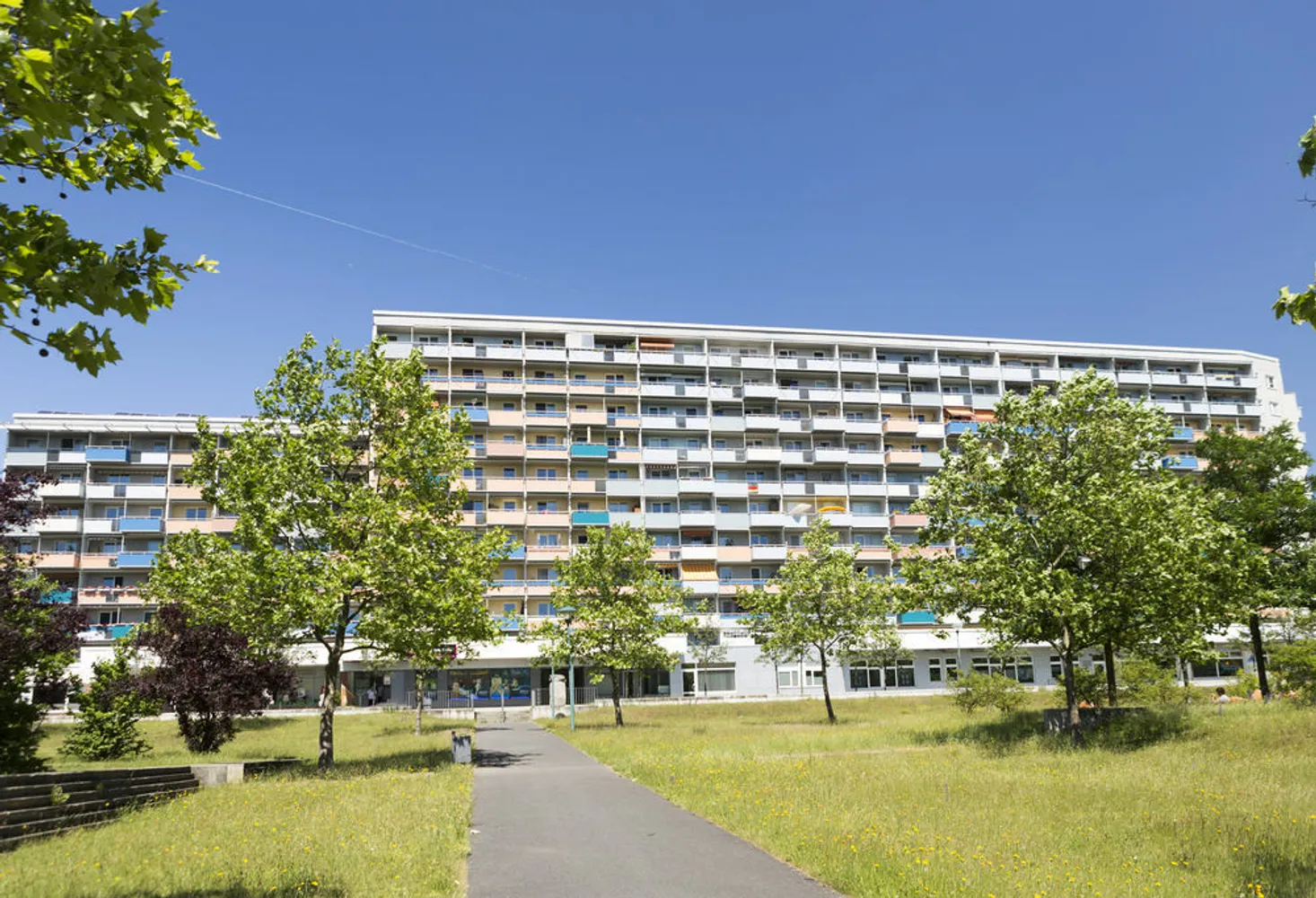2 Zimmer Wohnung mit 59 m² in Cottbus – Bild 1