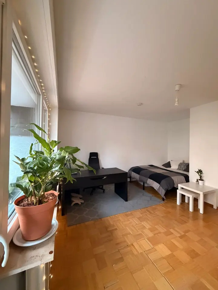 WG-Zimmer mit 31 m² in Heidelberg – Bild 2