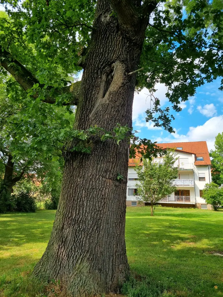 2 Zimmer Wohnung mit 62 m² in Eisenach – Bild 7