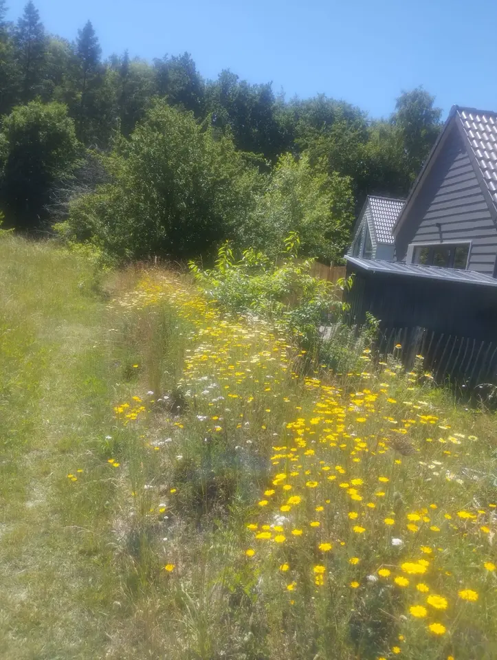 1 Zimmer Haus mit 39 m² in Neumünster – Bild 6