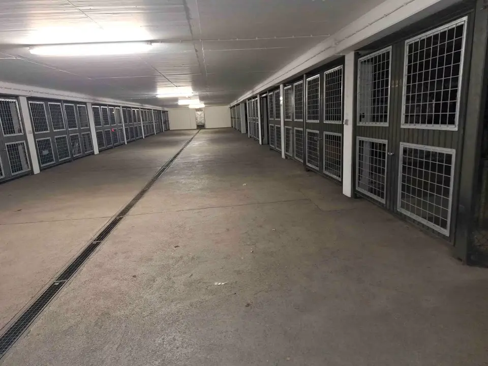 Studio mit 25 m² in Passau – Bild 8