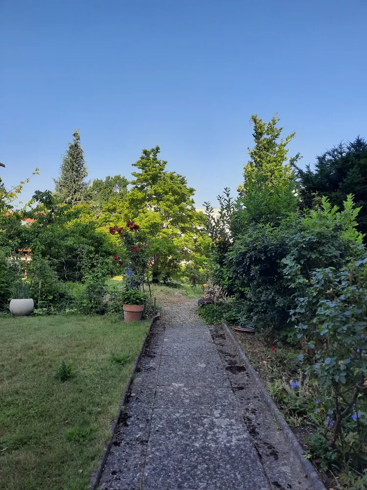 3 Zimmer Wohnung mit 65 m² in Hildesheim – Bild 4