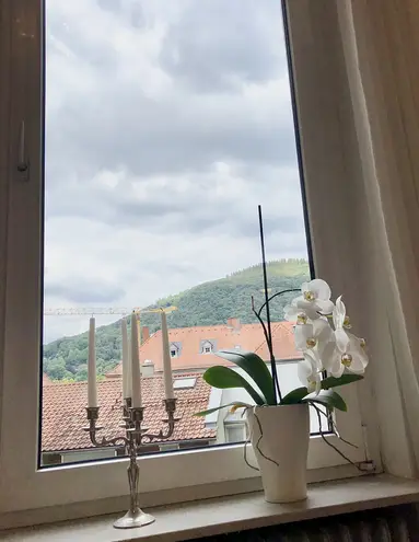 2 Zimmer Wohnung mit 45 m² in Heidelberg – Bild 8