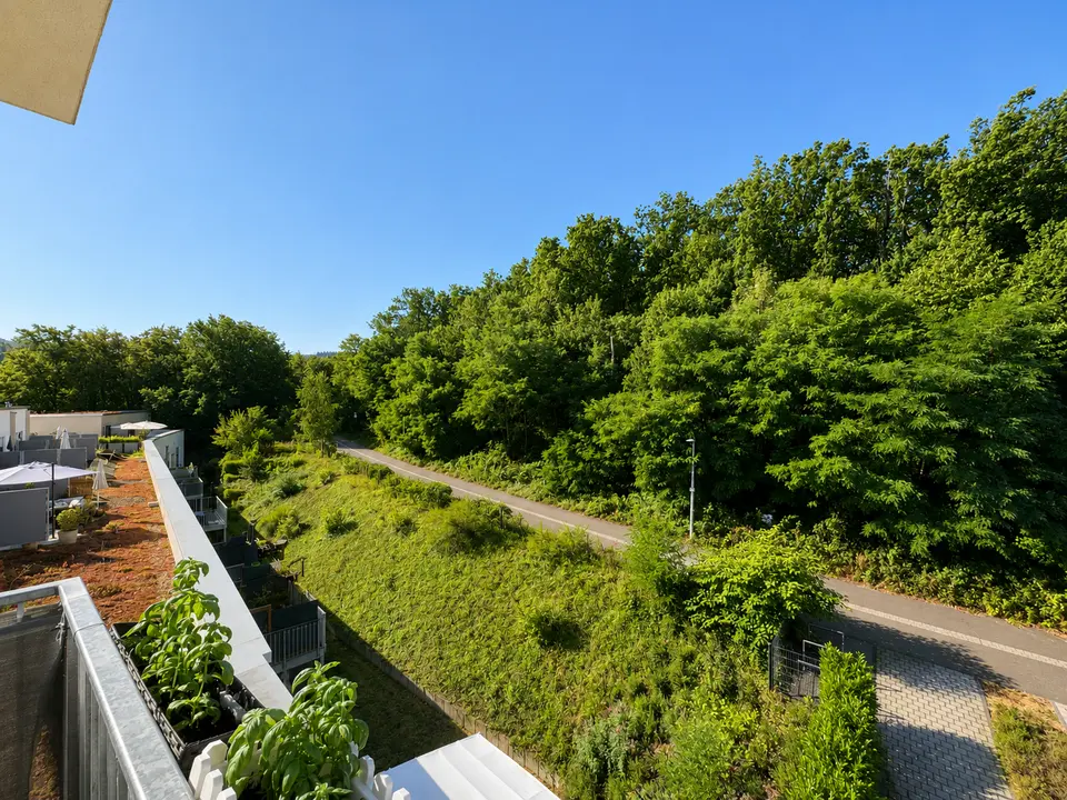 3 Zimmer Wohnung mit 55 m² in Trier – Bild 8