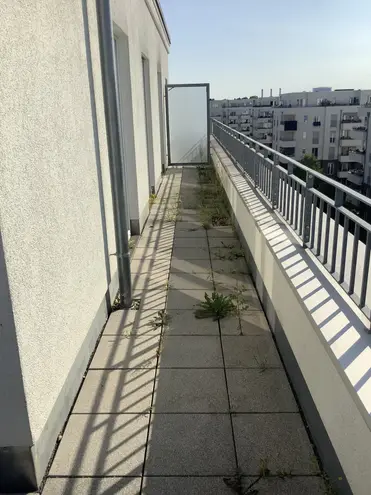 2 Zimmer Wohnung mit 77 m² in Potsdam – Bild 9