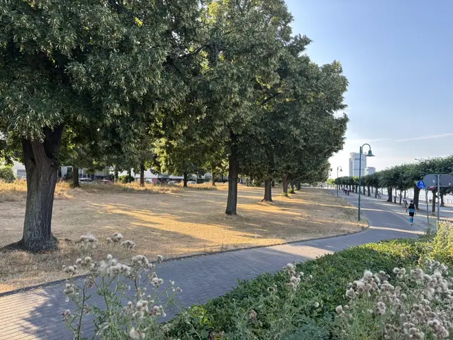 3 Zimmer Wohnung mit 85 m² in Bonn – Bild 10