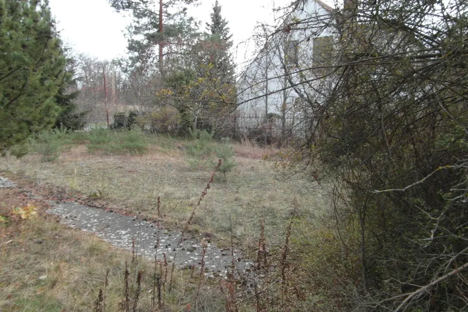 19 Zimmer Haus mit 800 m² in Cottbus – Bild 6