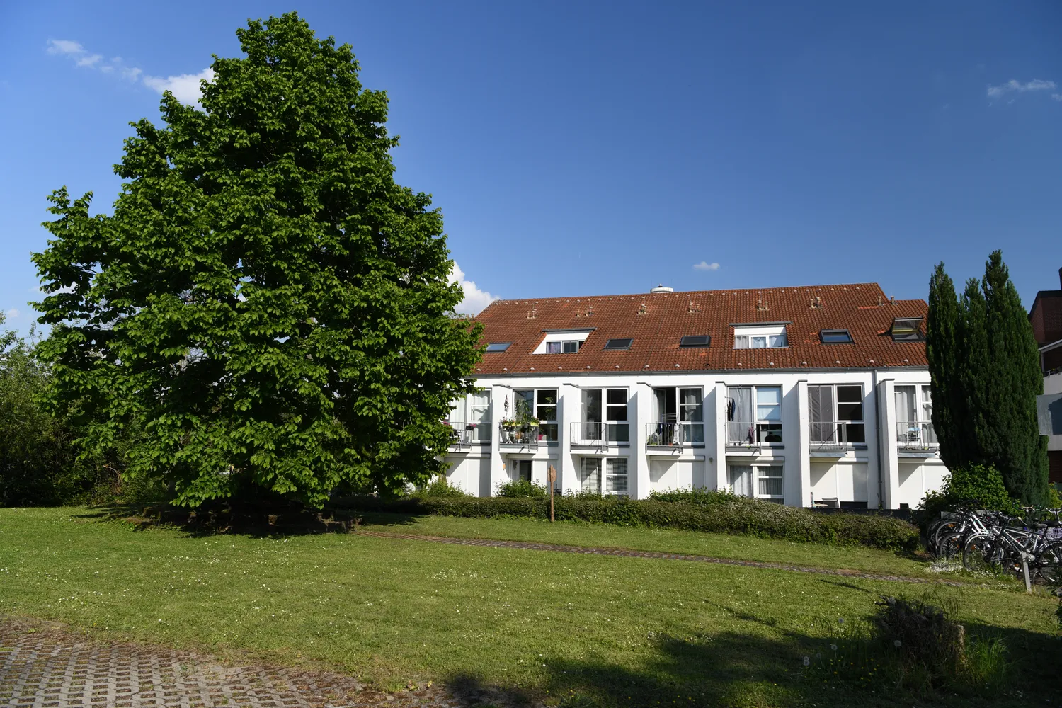 1 Zimmer Wohnung mit 27 m² in Mainz – Bild 4