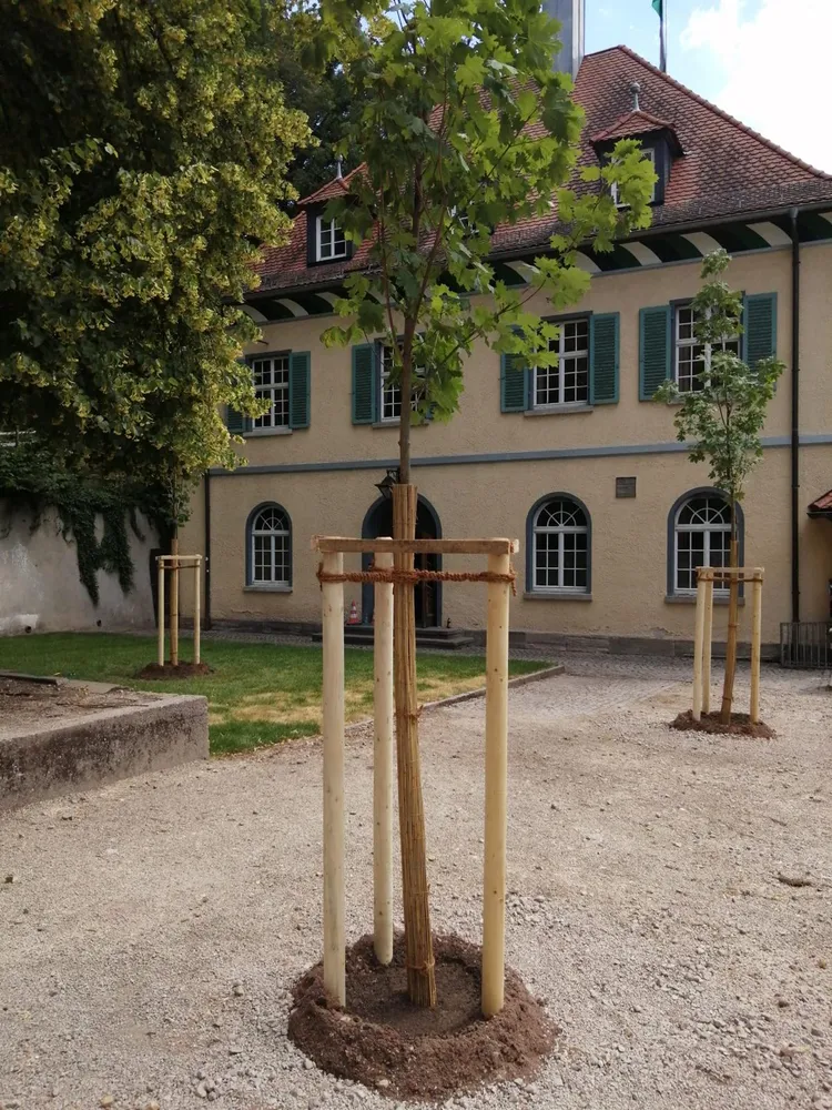7 Zimmer Wohnung mit 22 m² in Erlangen – Bild 5
