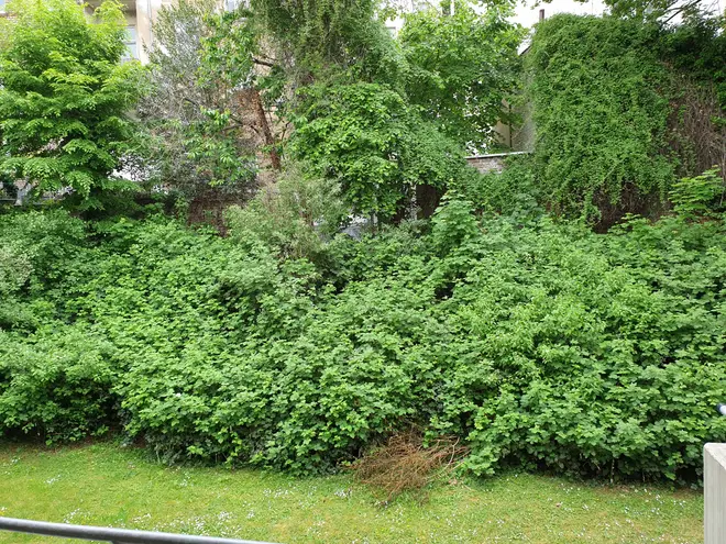 3 Zimmer Wohnung mit 73 m² in Bonn – Bild 2