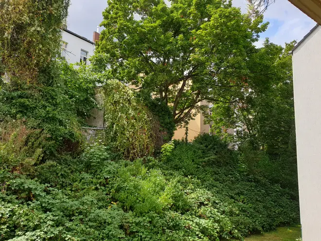 3 Zimmer Wohnung mit 73 m² in Bonn – Bild 3
