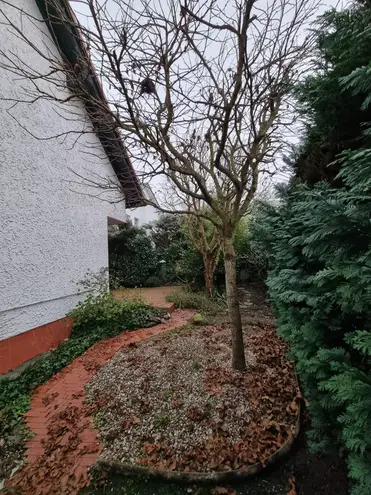 6 Zimmer Haus mit 145 m² in Oberursel (Taunus) – Bild 5