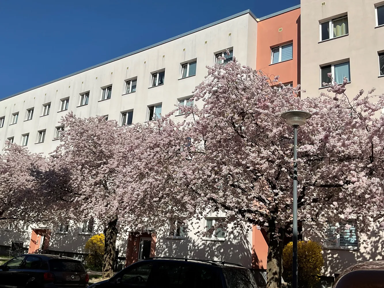 3 Zimmer Wohnung mit 57 m² in Dresden – Bild 3
