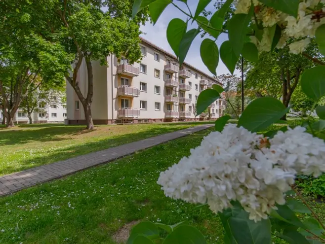3 Zimmer Wohnung mit 60 m² in Magdeburg – Bild 3