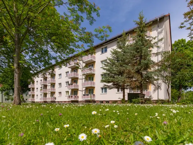 3 Zimmer Wohnung mit 60 m² in Magdeburg – Bild 4